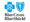 Blue Cross Blue Shield Insurance