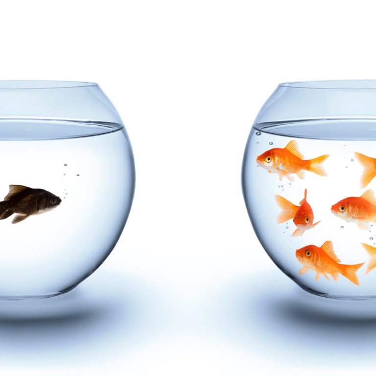 Isolation & Loneliness